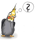 Tweety-Nympf