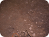 clubhaus003