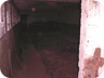 clubhaus019